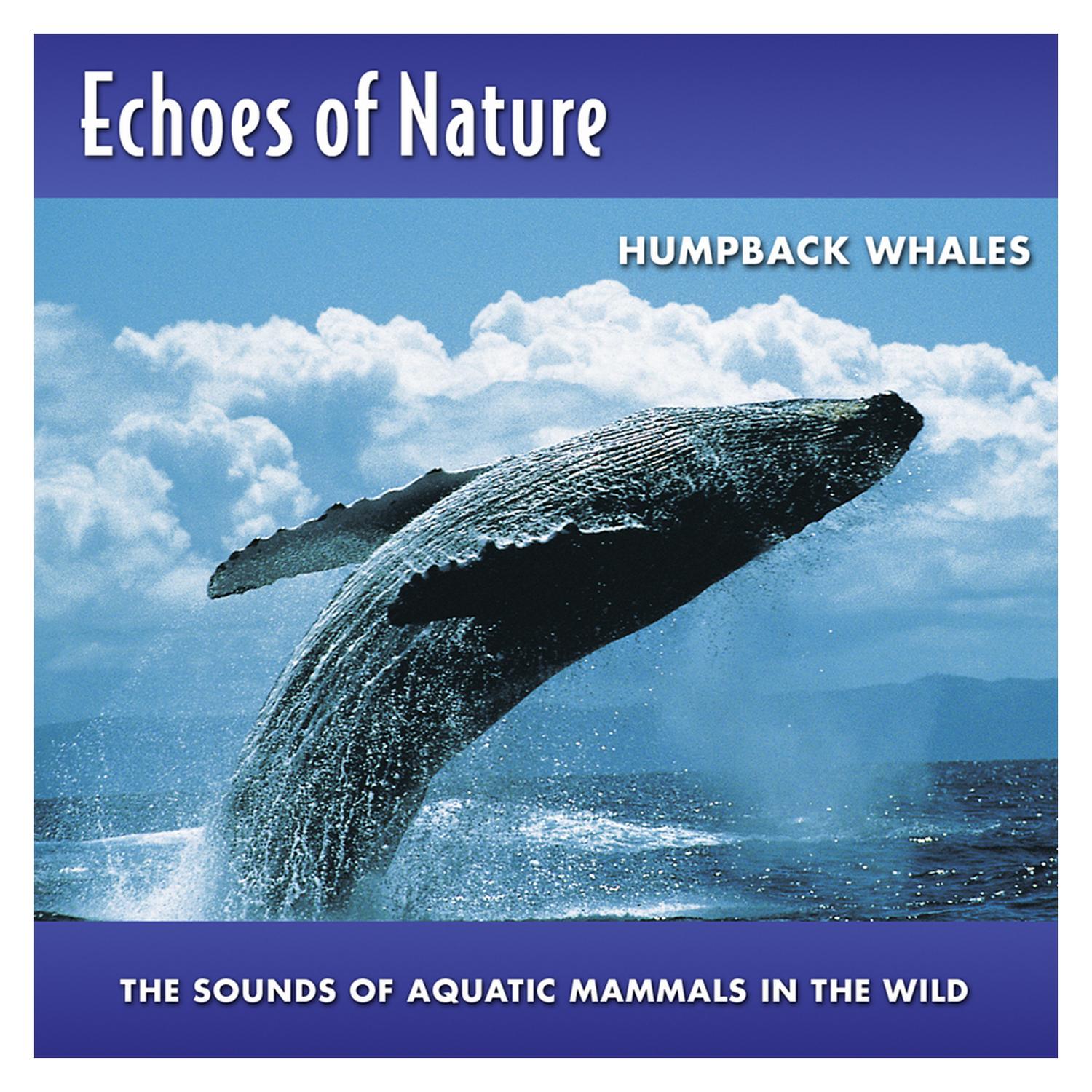 Humpback Whales