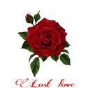 Lost love专辑