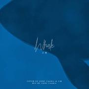 Whale (고래)（翻自 AKMU.）