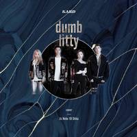 Dumb Litty - KARD 伴奏