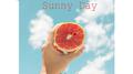 Sunny Day专辑