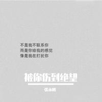 星月组合-爱情就像一首歌