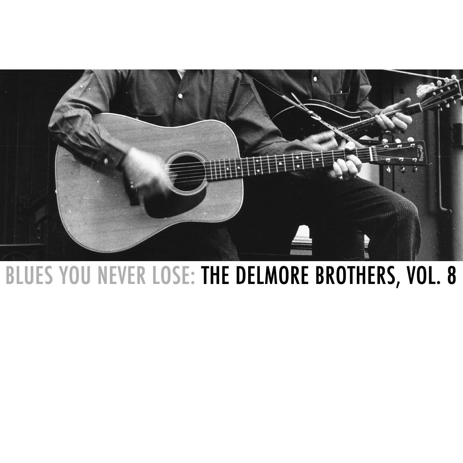 Blues You Never Lose: The Delmore Brothers, Vol. 8