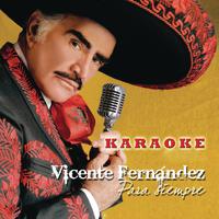 TIMO BESO - Vicente Fernandez (karaoke)