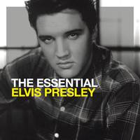 Suspicious Minds - Elvis Presley (2)