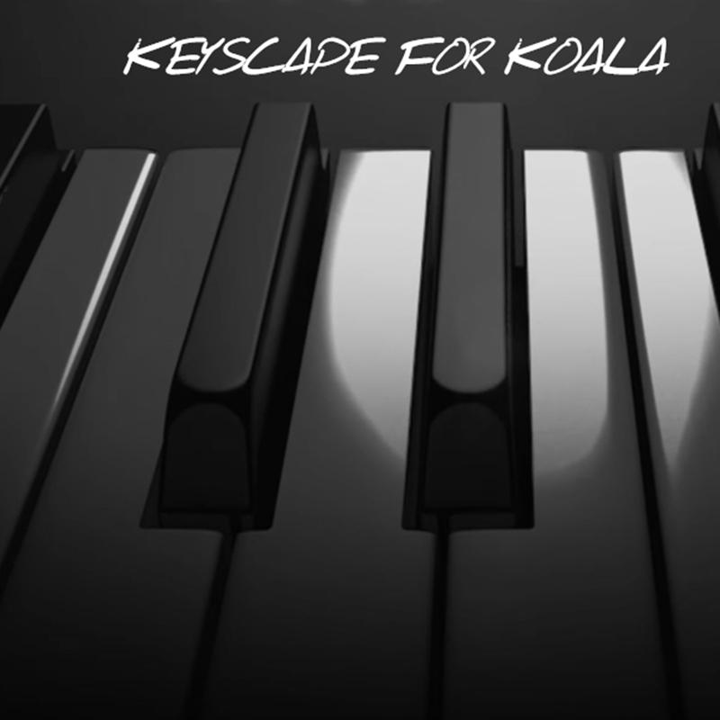 KeysCape For Koala专辑