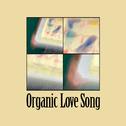Organic Love Song专辑