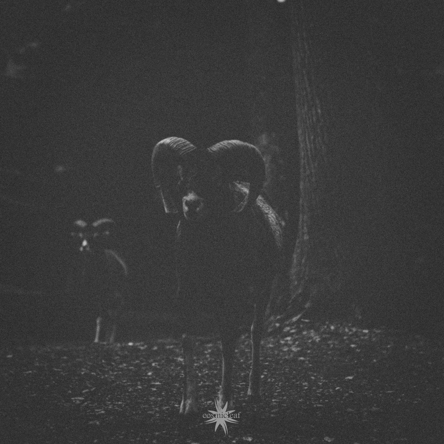Rituals I