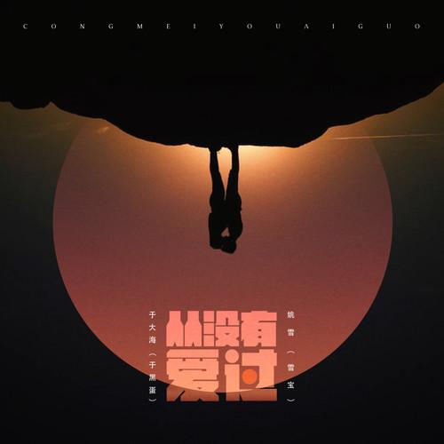 从没有爱过 (男声独唱版)