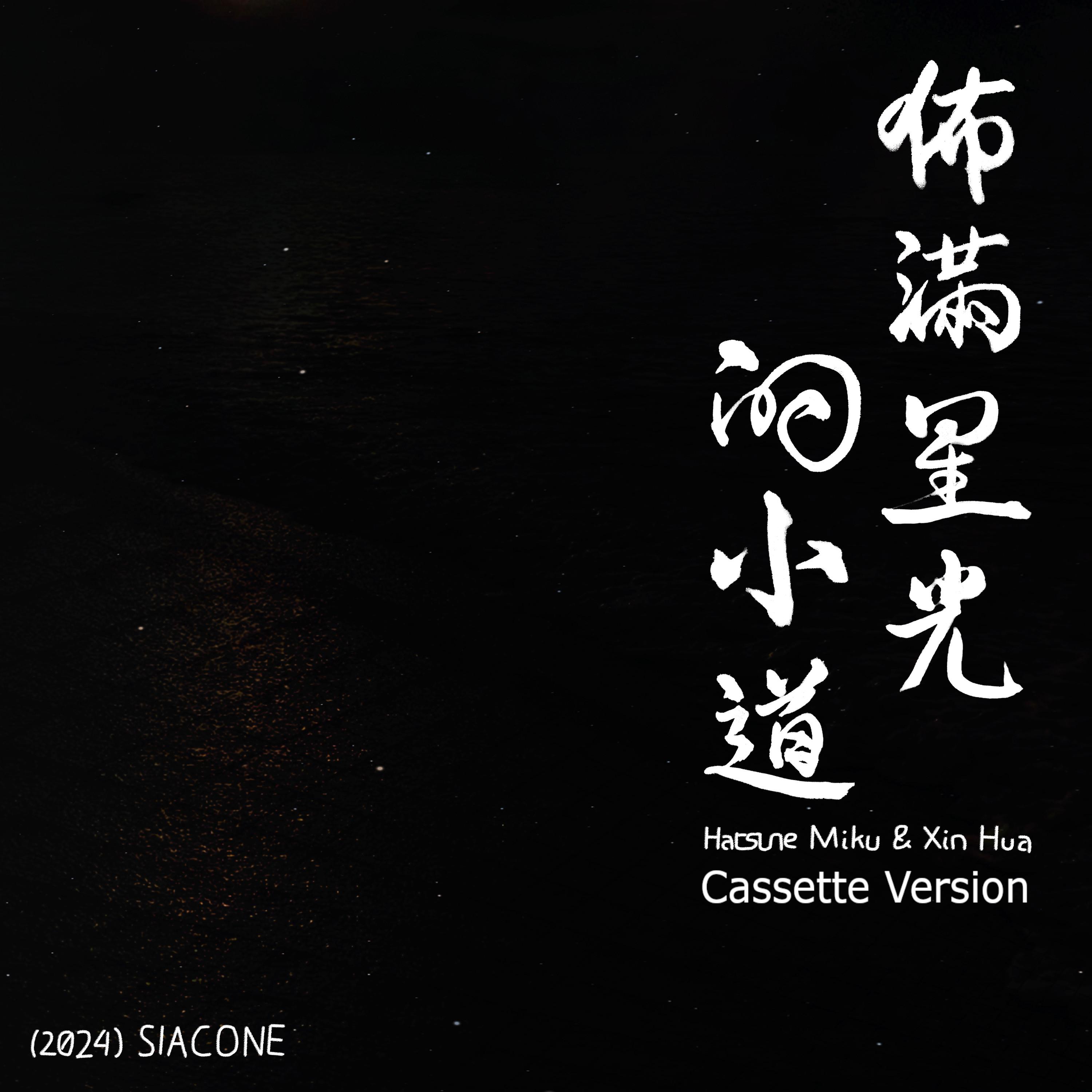 佈滿星光的小道 (Cassette Version)