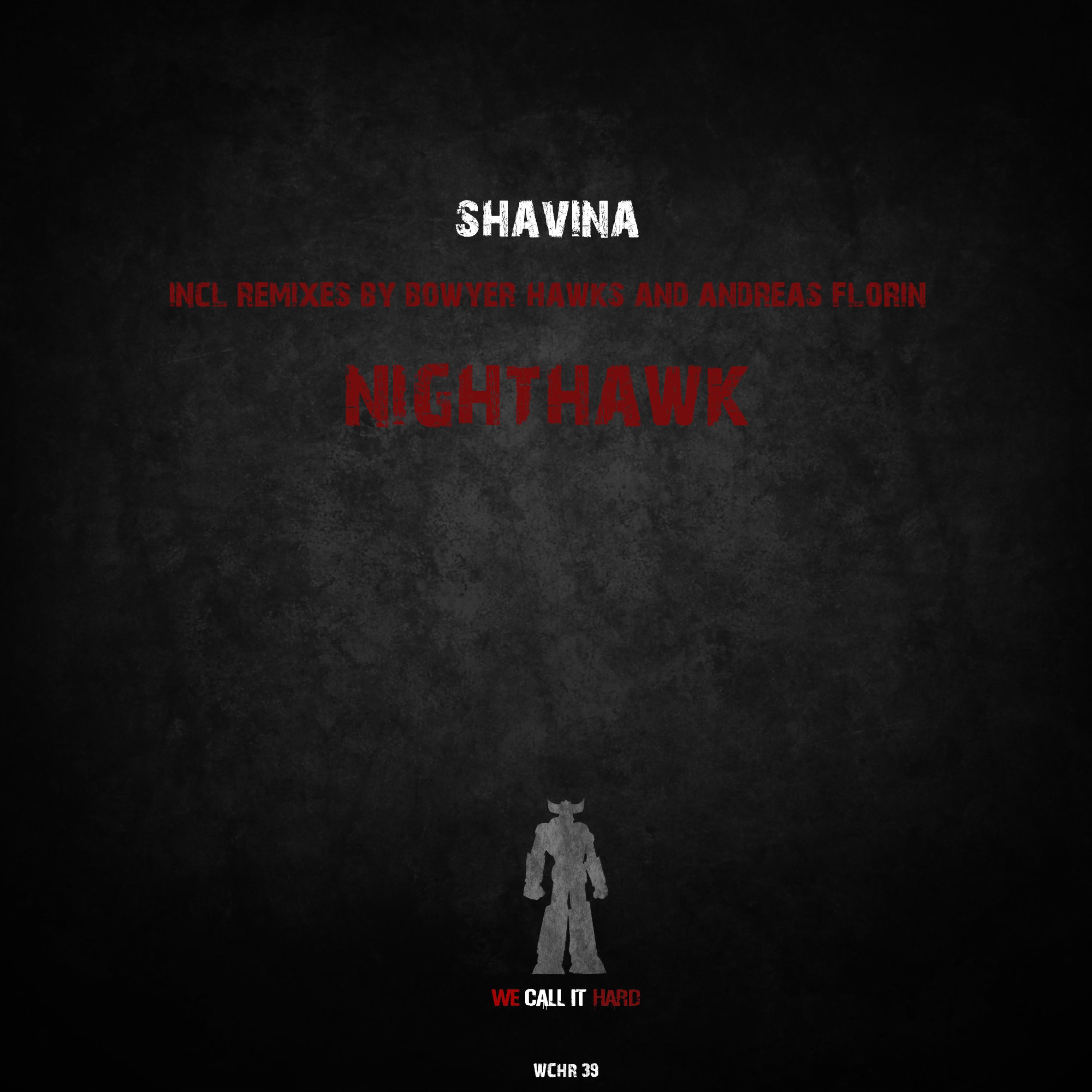 Shavina - Nighthawk (Bowyer Hawks Remix)