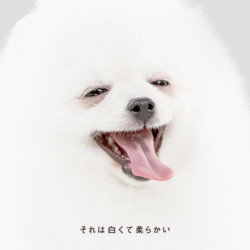 それは白くて柔らかい