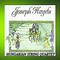 Joshep Haydn - Hungarian String Quartet专辑
