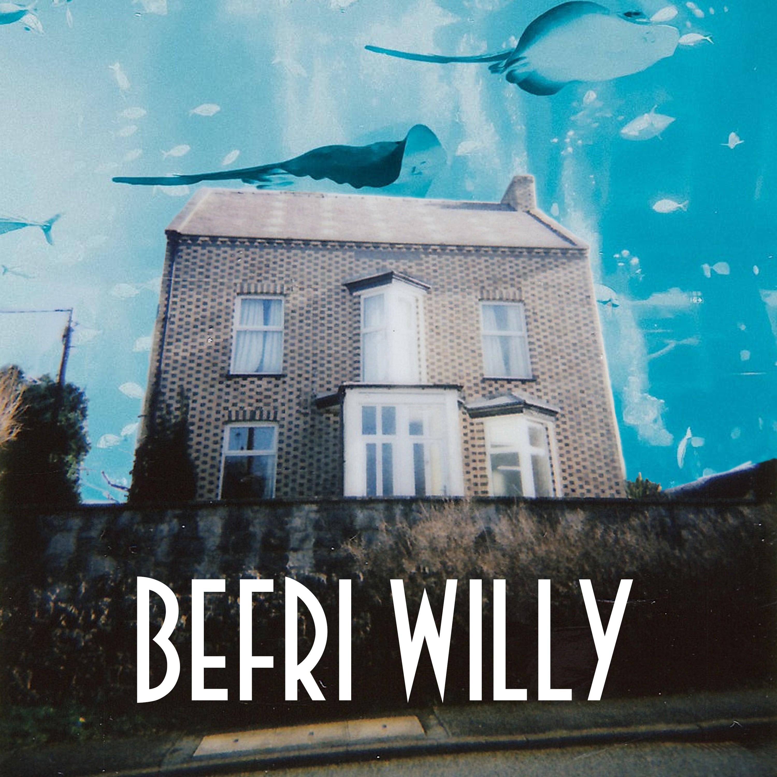 Befri Willy