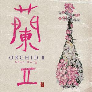 ORCHID II (蘭II)-05 Qingdao Breeze （升6半音）