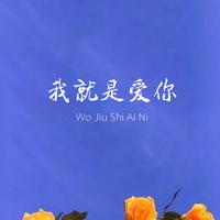 紫龙 - 爱人不哭(原版立体声伴奏)