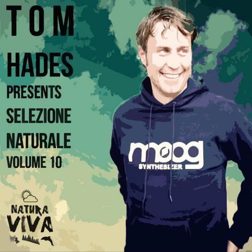 Tom Hades - Bamako (Original Mix)