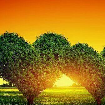 Uplifting Trance ♬ 精选集 | 在线播放 | 网易云音乐