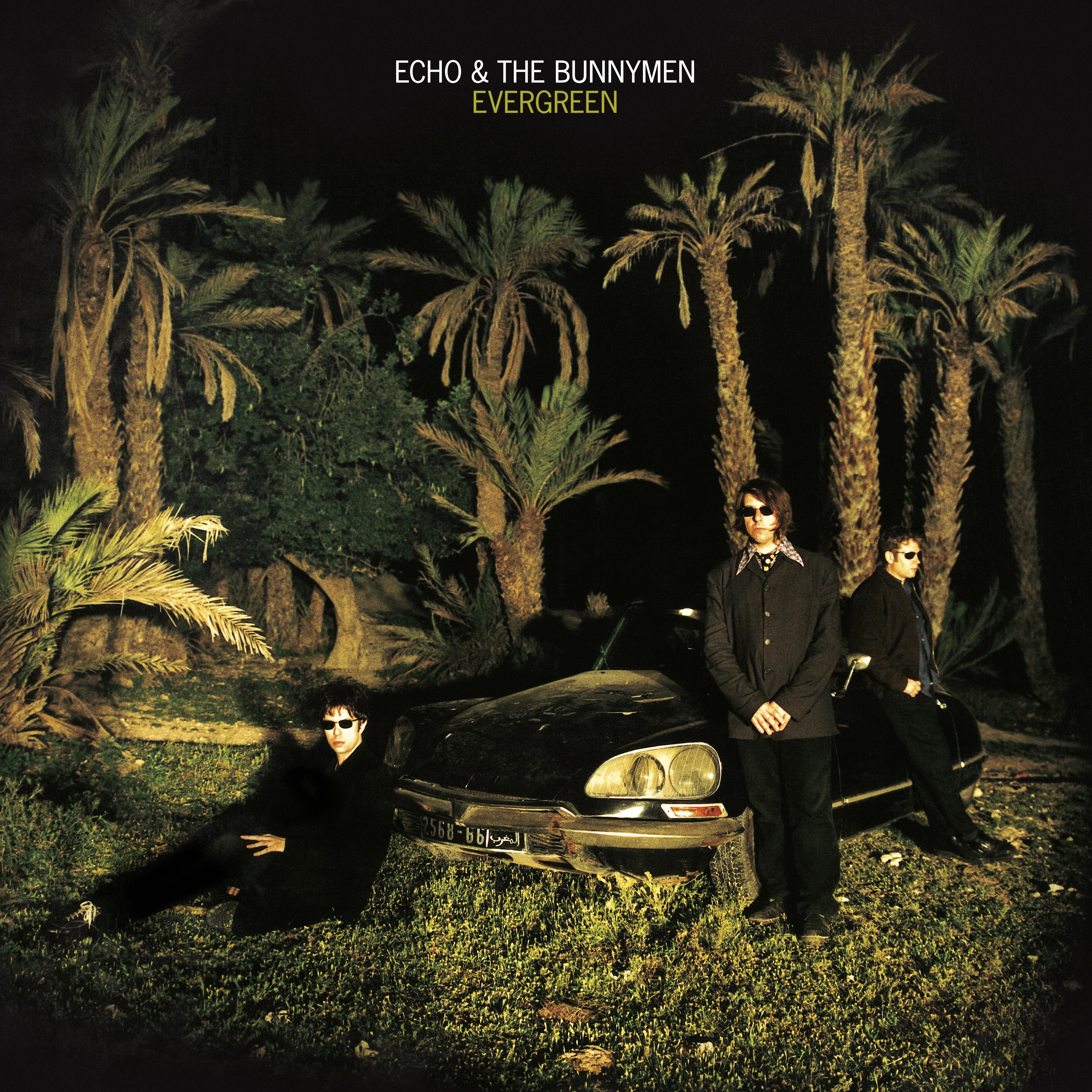 Echo & the Bunnymen - Evergreen