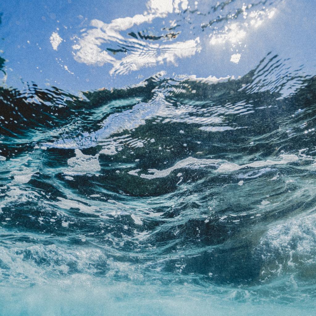 DIVE WITH ME