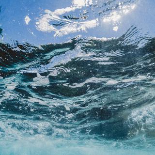 DIVE WITH ME