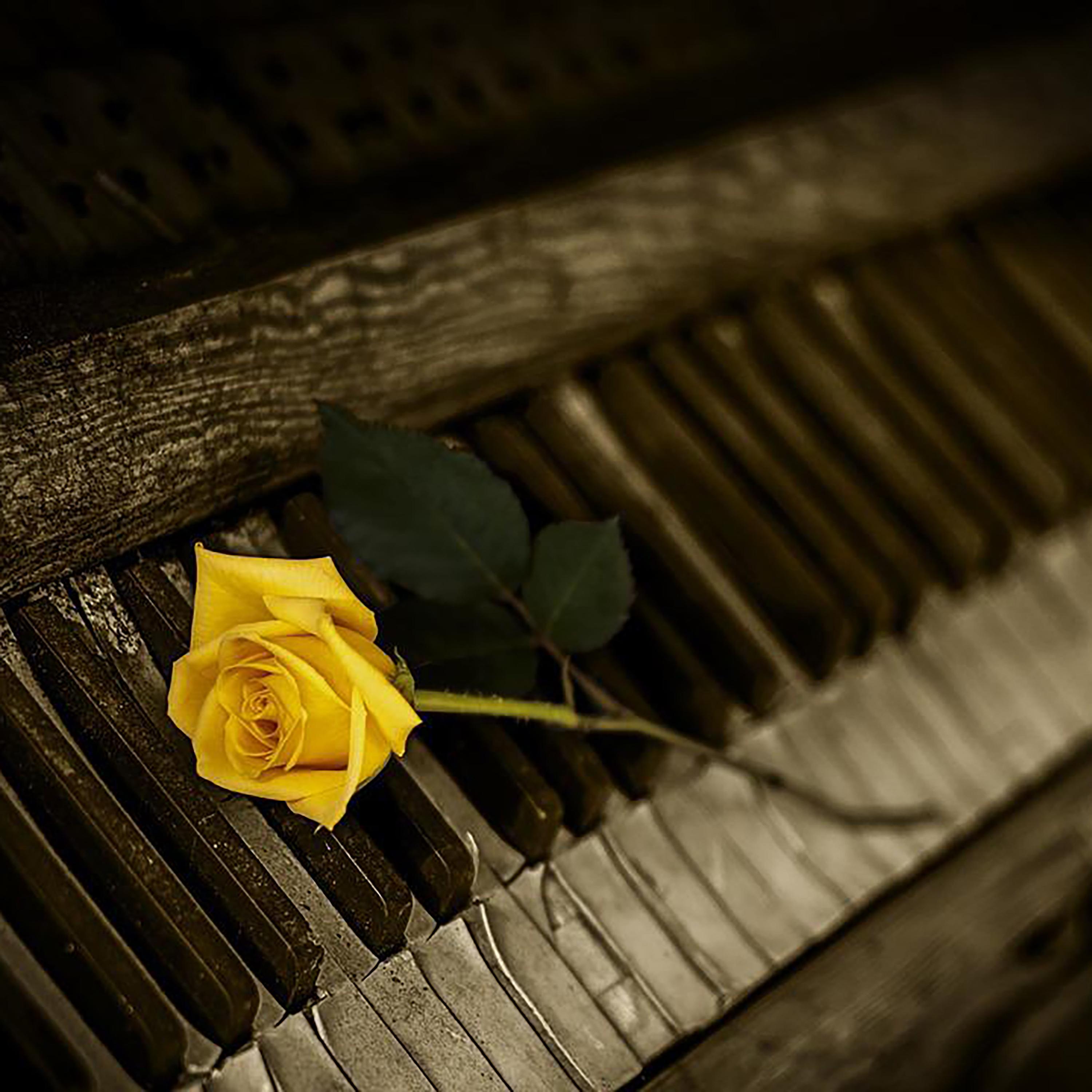 巴赫 二部创意曲 No.9 F小调 in F Minor, BWV 780