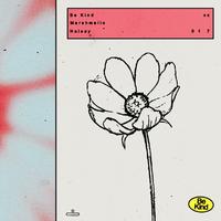 Marshmello & Halsey - Be Kind (Acoustic) 无和声伴奏