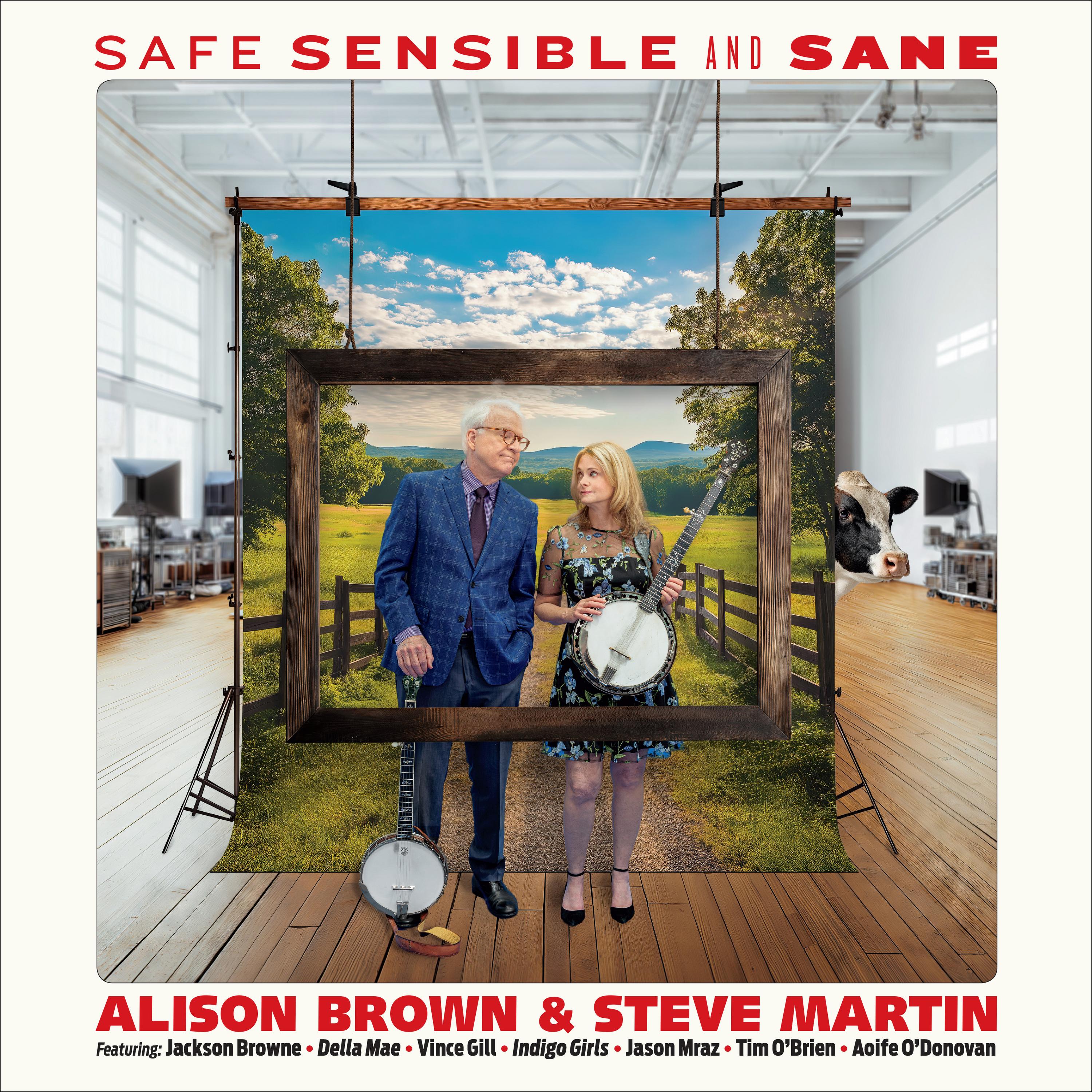 Safe, Sensible And Sane