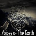 Voices of the Earth专辑
