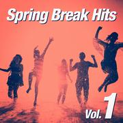 Spring Break Hits, Vol. 1专辑