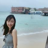 鱼的ukulele