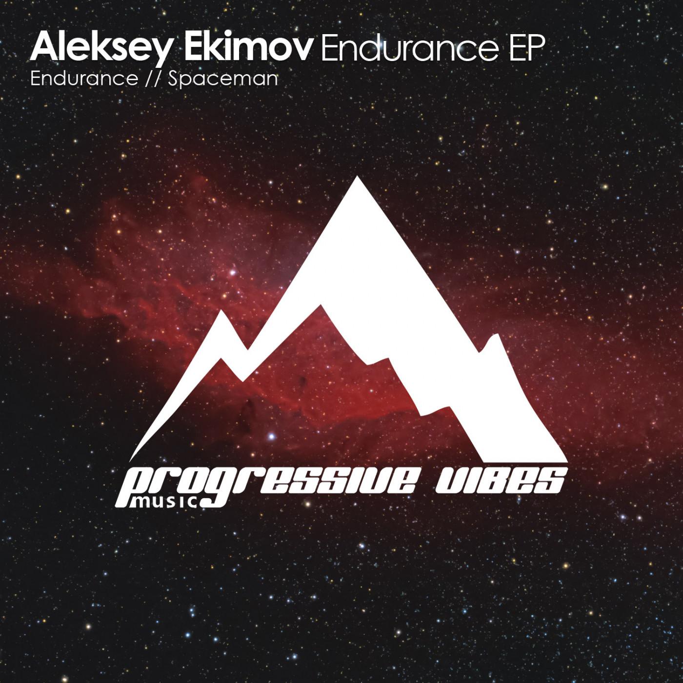 Endurance (Extended Mix)