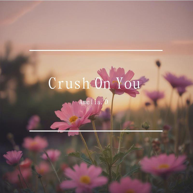 Crush On You