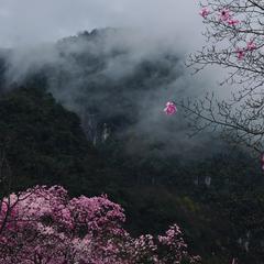 春山横波