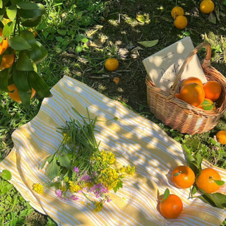 纯音治愈所｜抚平内心褶皱的旋律