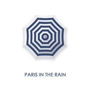 paris in the rain