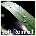 10 Calming Rain Natural Rain Sounds