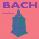 Bach - Organ Works专辑