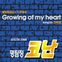 명탐정 코난 6기 주제곡 - Growing Of My Heart专辑