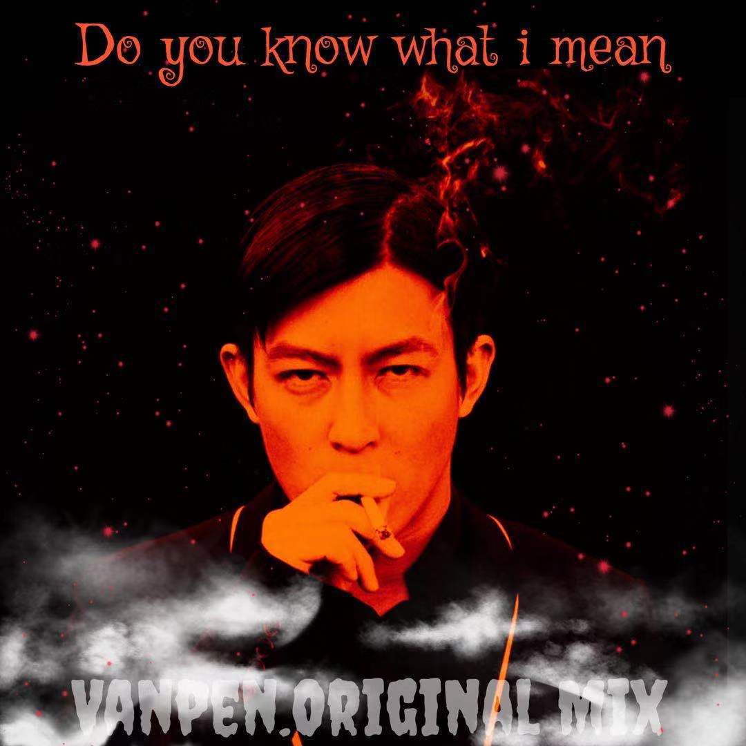 Do you know what i mean (Vanpen Original Mix)