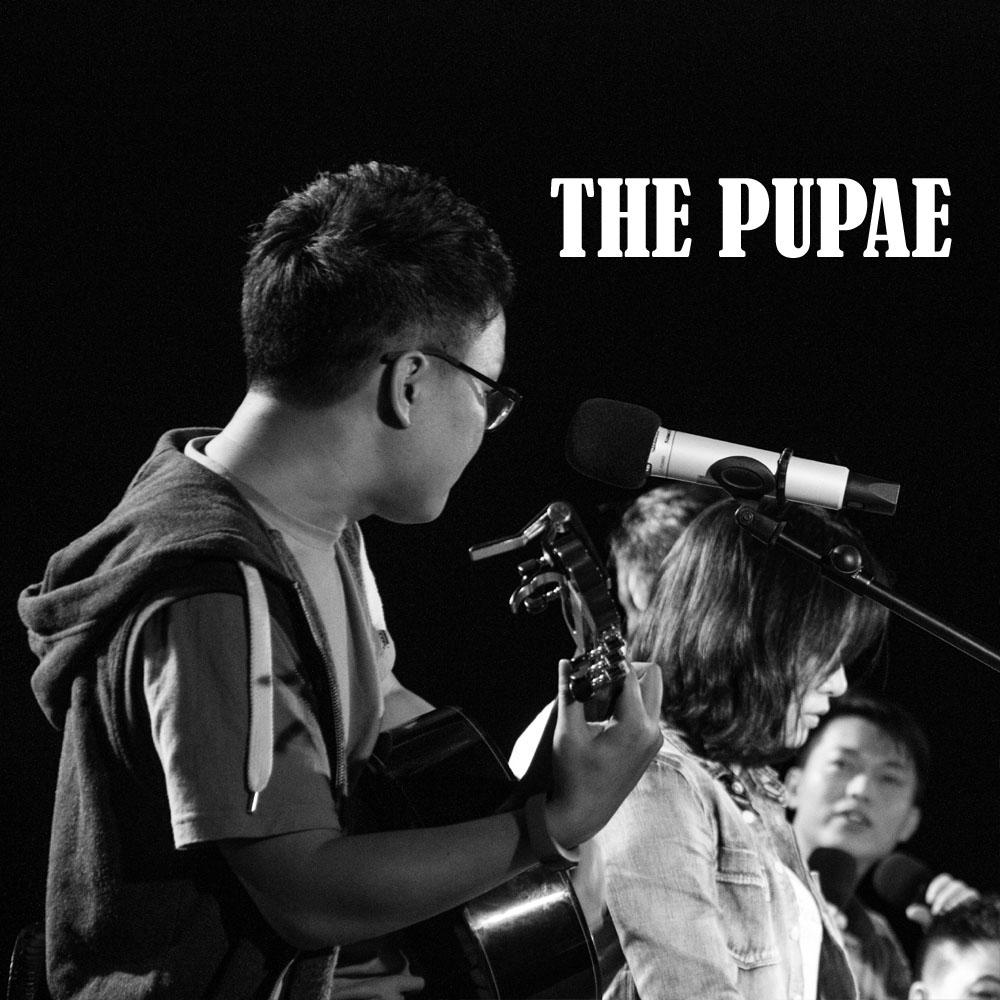 The Pupae专辑