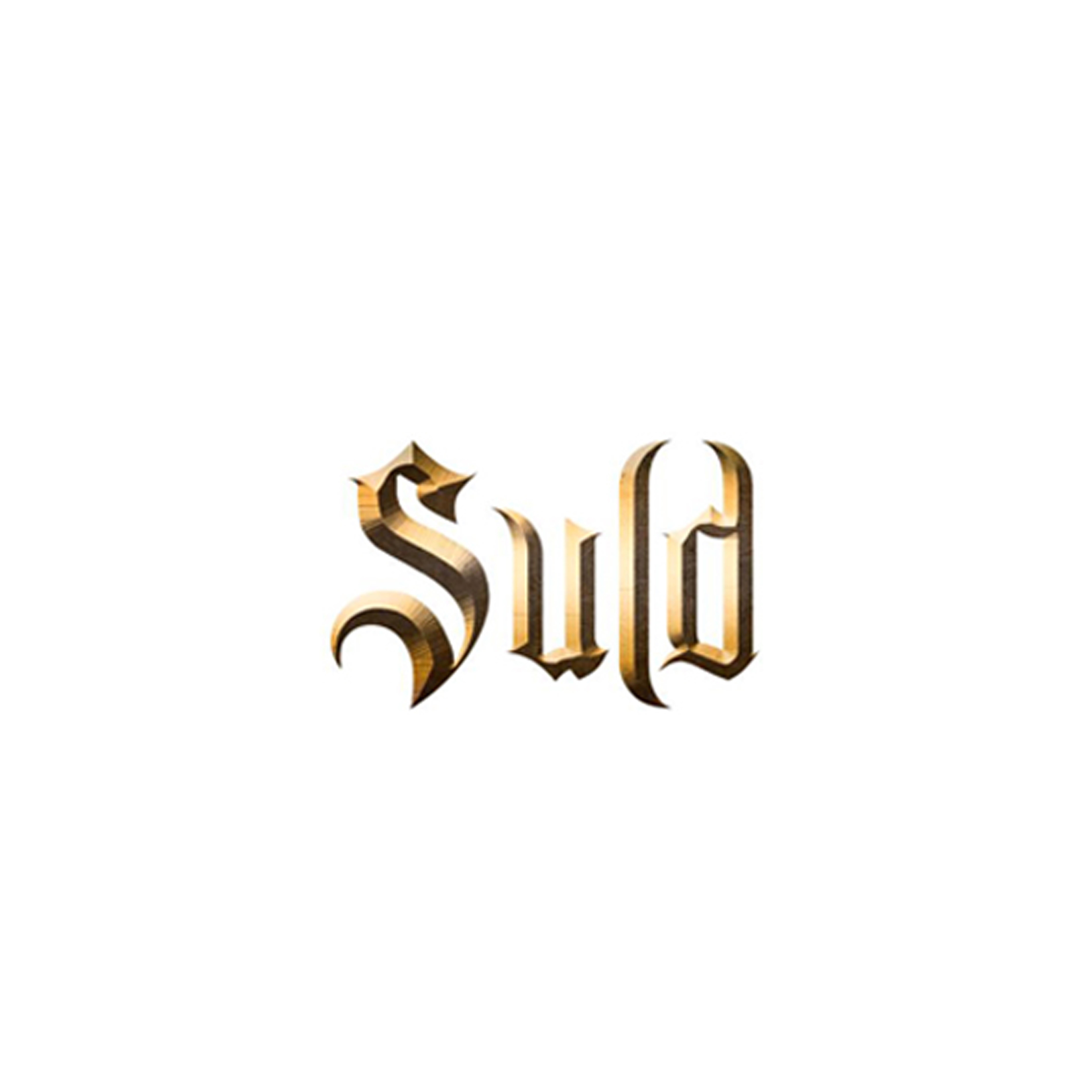 战旗乐队SULD