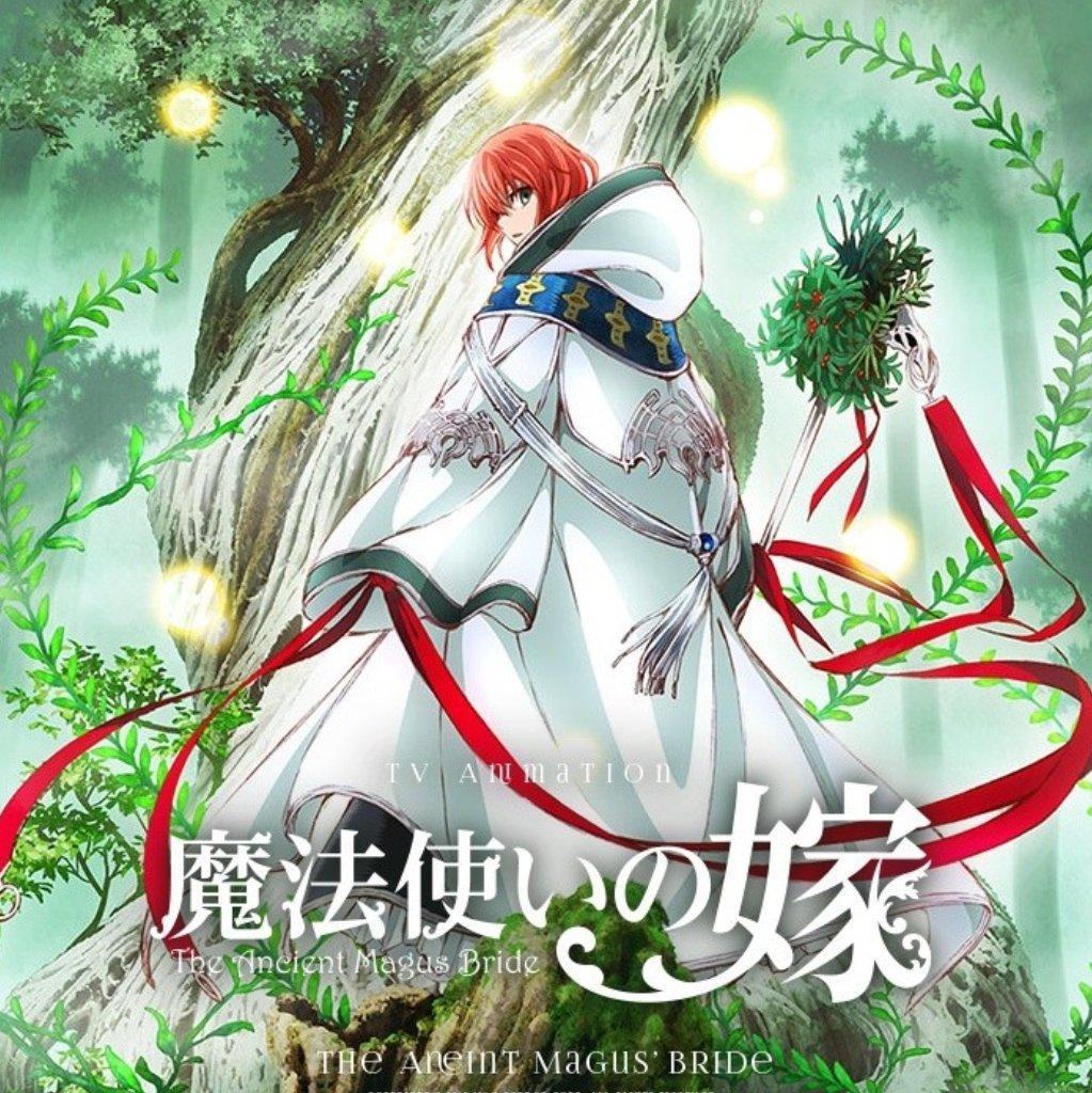 魔法使的新娘（魔法使いの嫁）