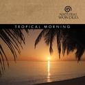 Tropical Morning专辑