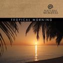 Tropical Morning专辑