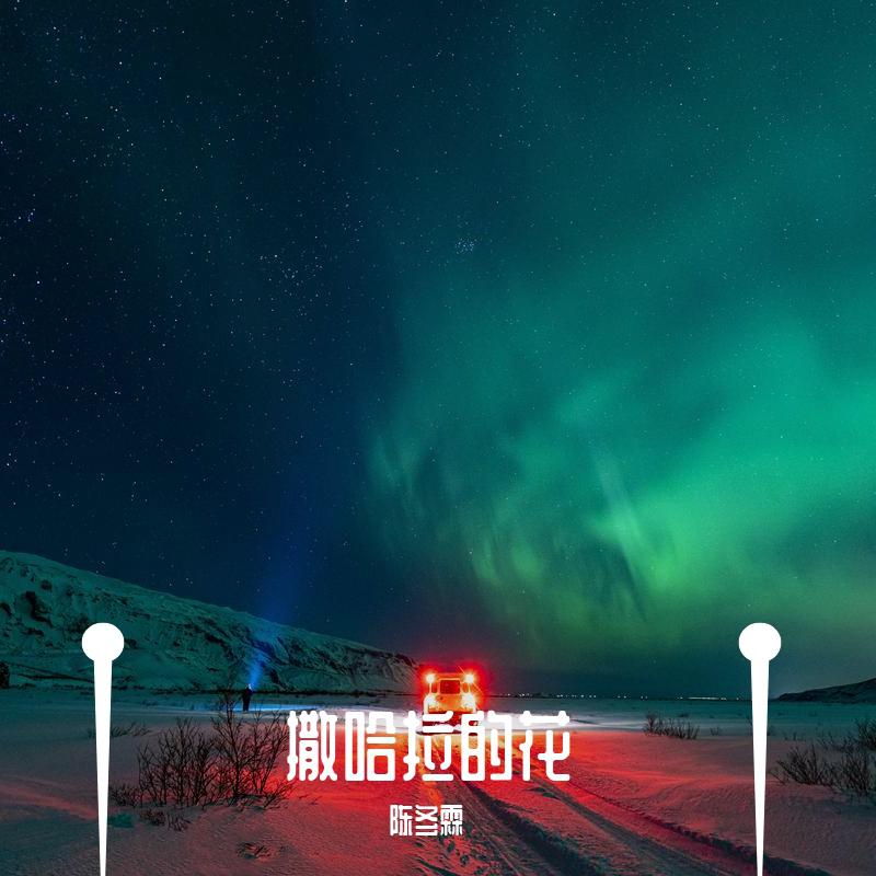 撒哈拉的花