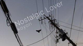 Nostalgic Lover专辑
