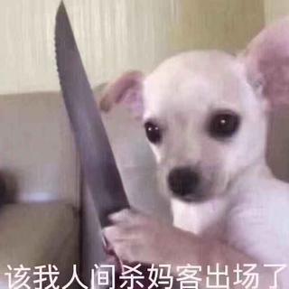 我们都是工具人