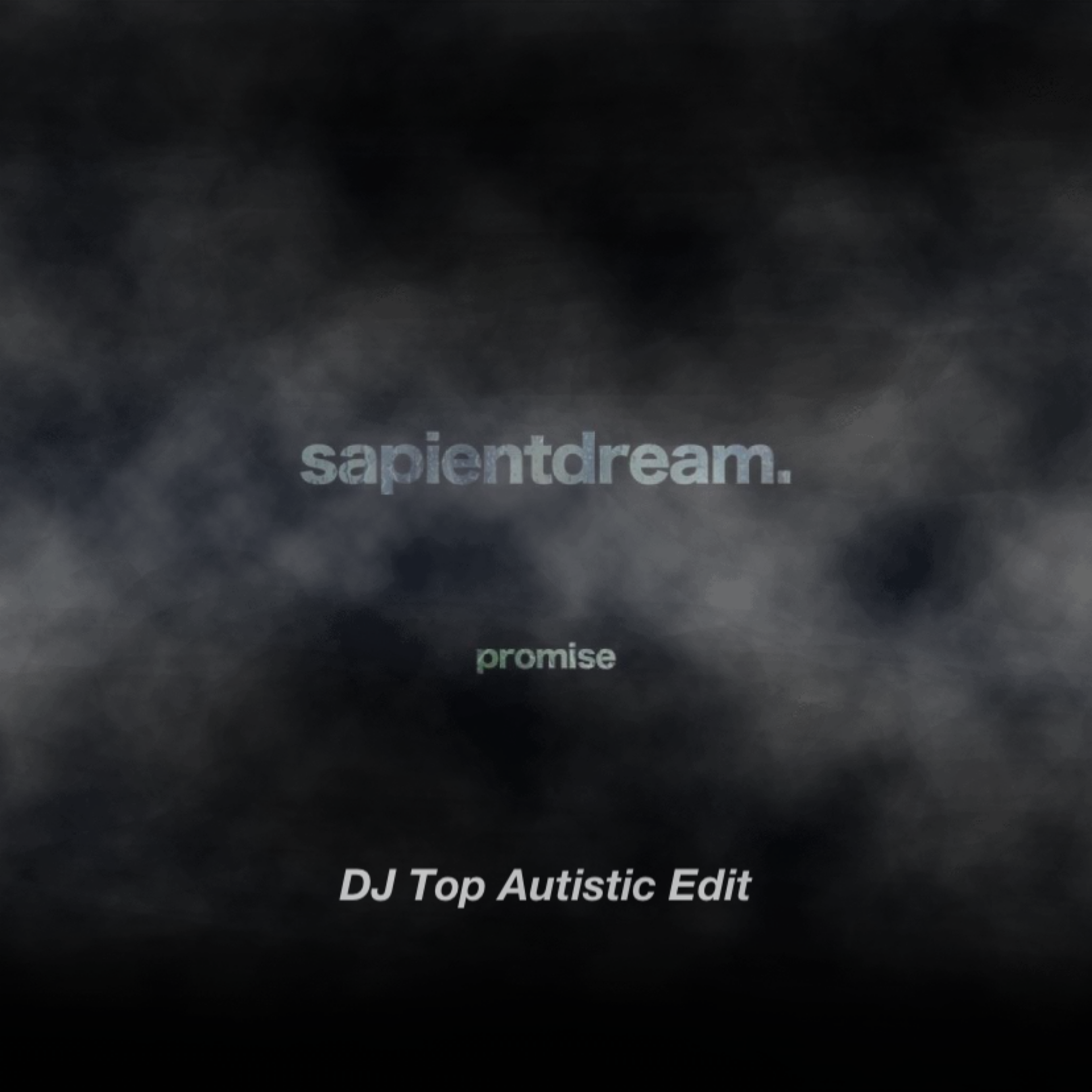 Promise (DJ Top Autistic Edit)