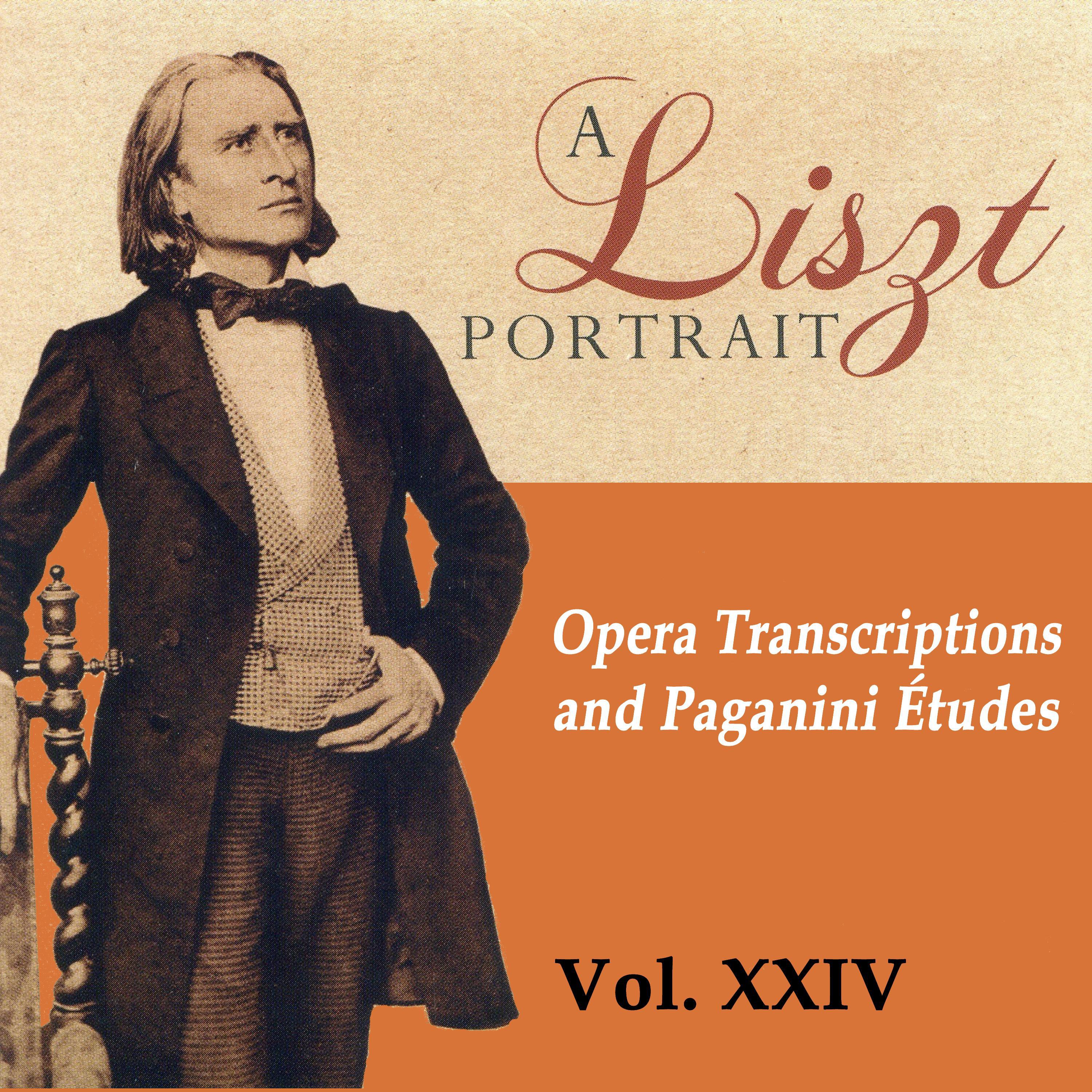 A Liszt Portrait, Vol. XXIV专辑